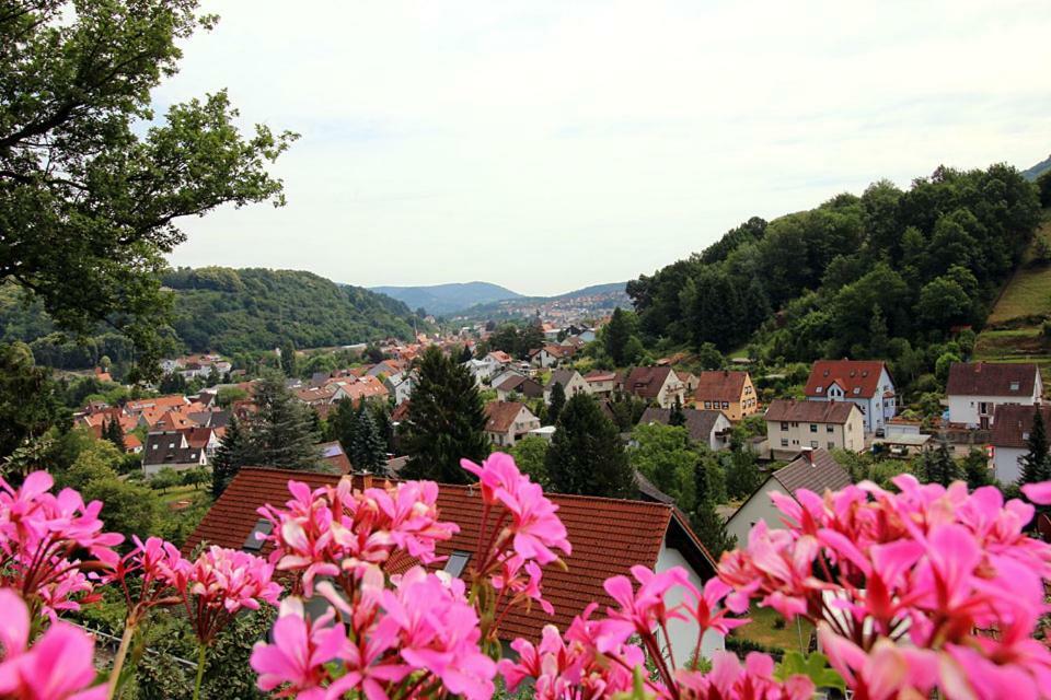 Pension Bergterrasse Annweiler am Trifels Exterior foto